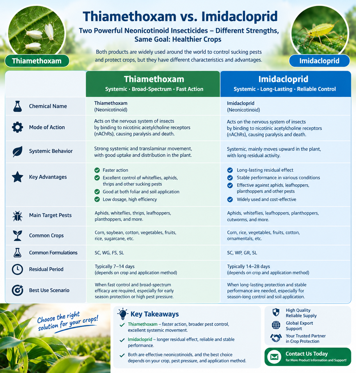 Thiamethoxam vs Imidacloprid