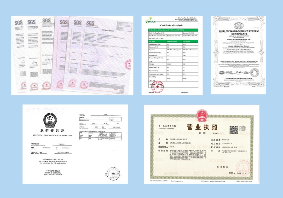 Certifications